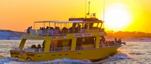 dolphin-sightseeing-cruise-featured