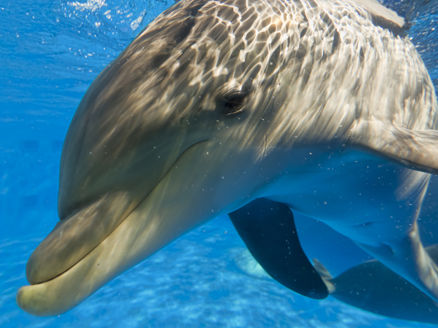 points-of-interest-okaloosa-island