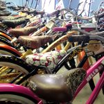 Coastal Cruisers