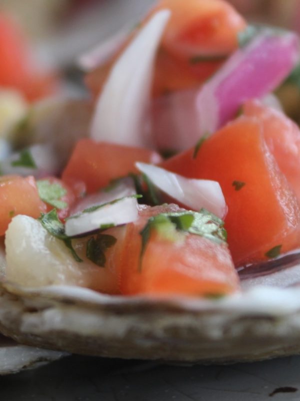 chef kevin wynn ceviche