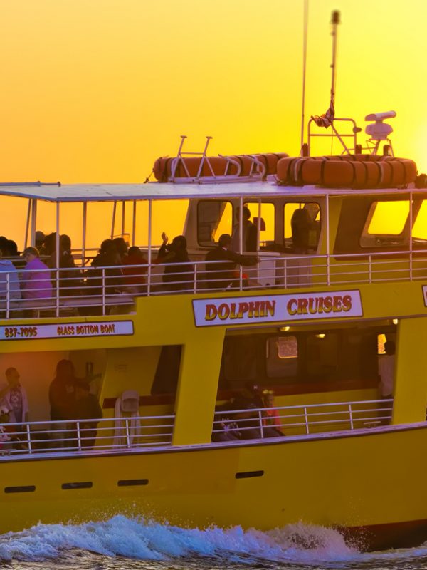 fort walton beach dolphin tours